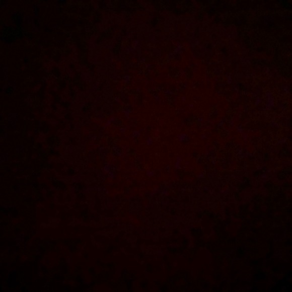 briannarosen600